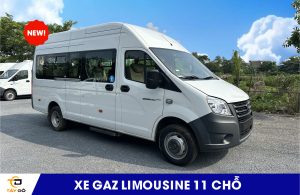 Xe gaz limousine 11 chỗ